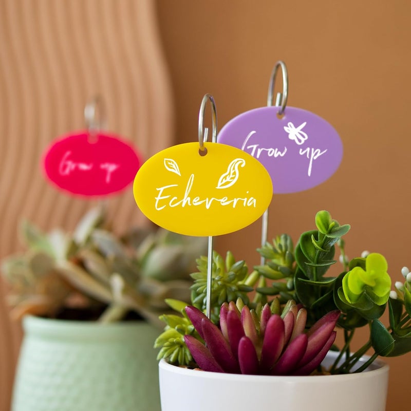 Temlum Plant Labels With Marker Pen, 25 Pcs Garden Markers Label Stakes Sign Tags for Outdoor Plants, Flowers, Herbs, Seed (Multicolor) - Image 3